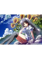 夏空のペルセウス　豪華版