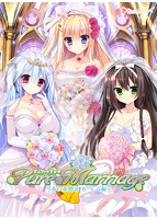 Ｐｕｒｅ　Ｍａｒｒｉａｇｅ〜赤い糸物語　ハーレム編〜　抱き枕カバー付き限定版