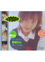 ブルーファイル　野原りん