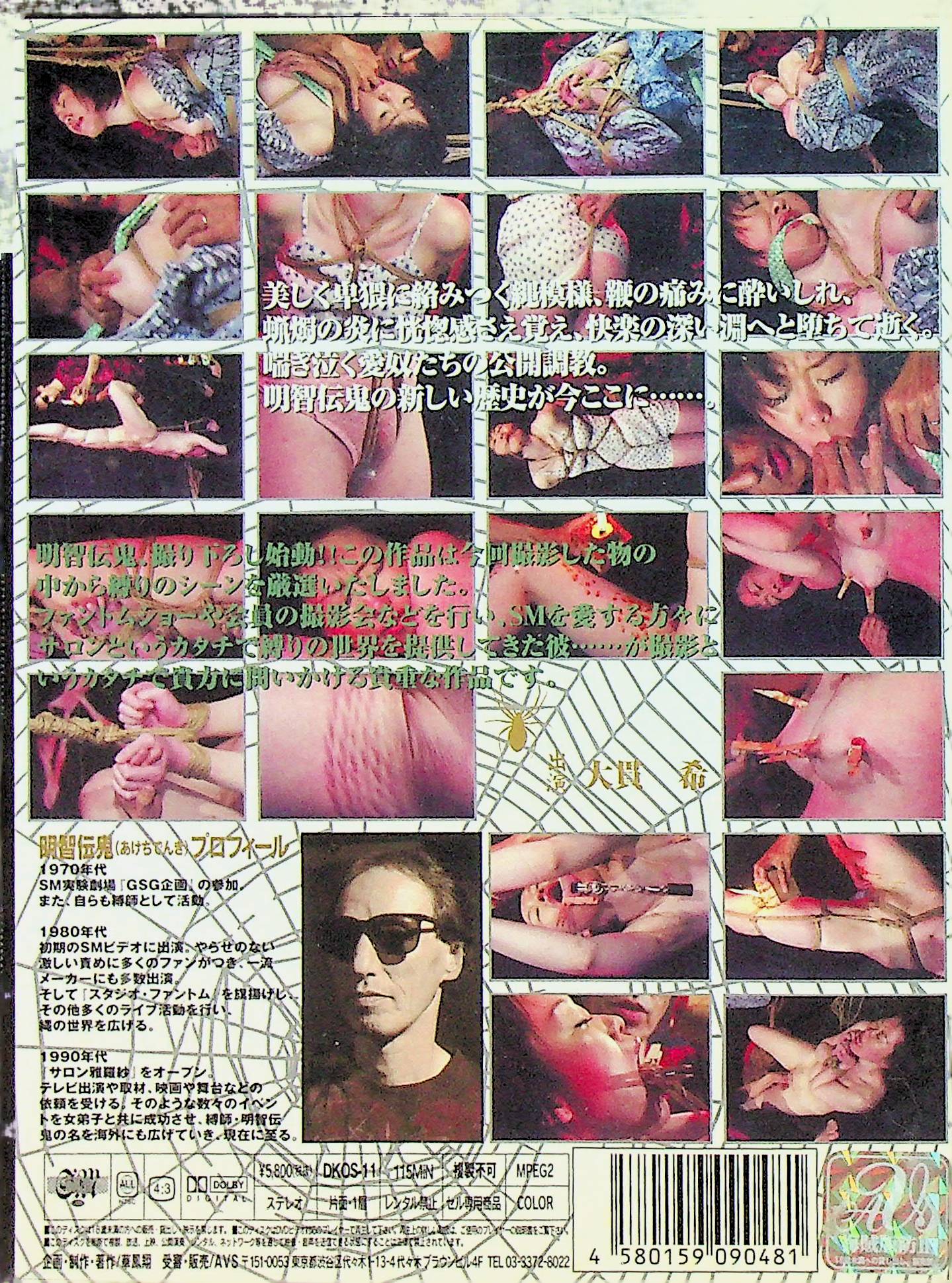 明智伝鬼の世界コレクション 11