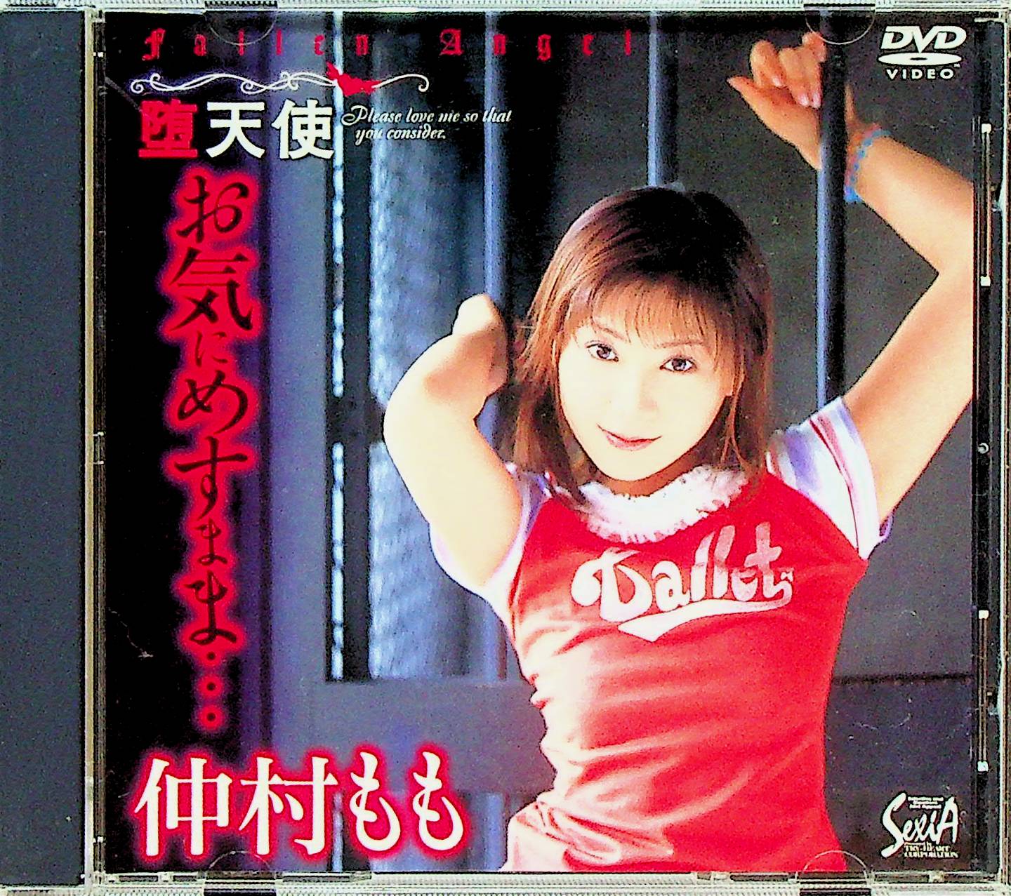 堕天使　お気に召すまま…