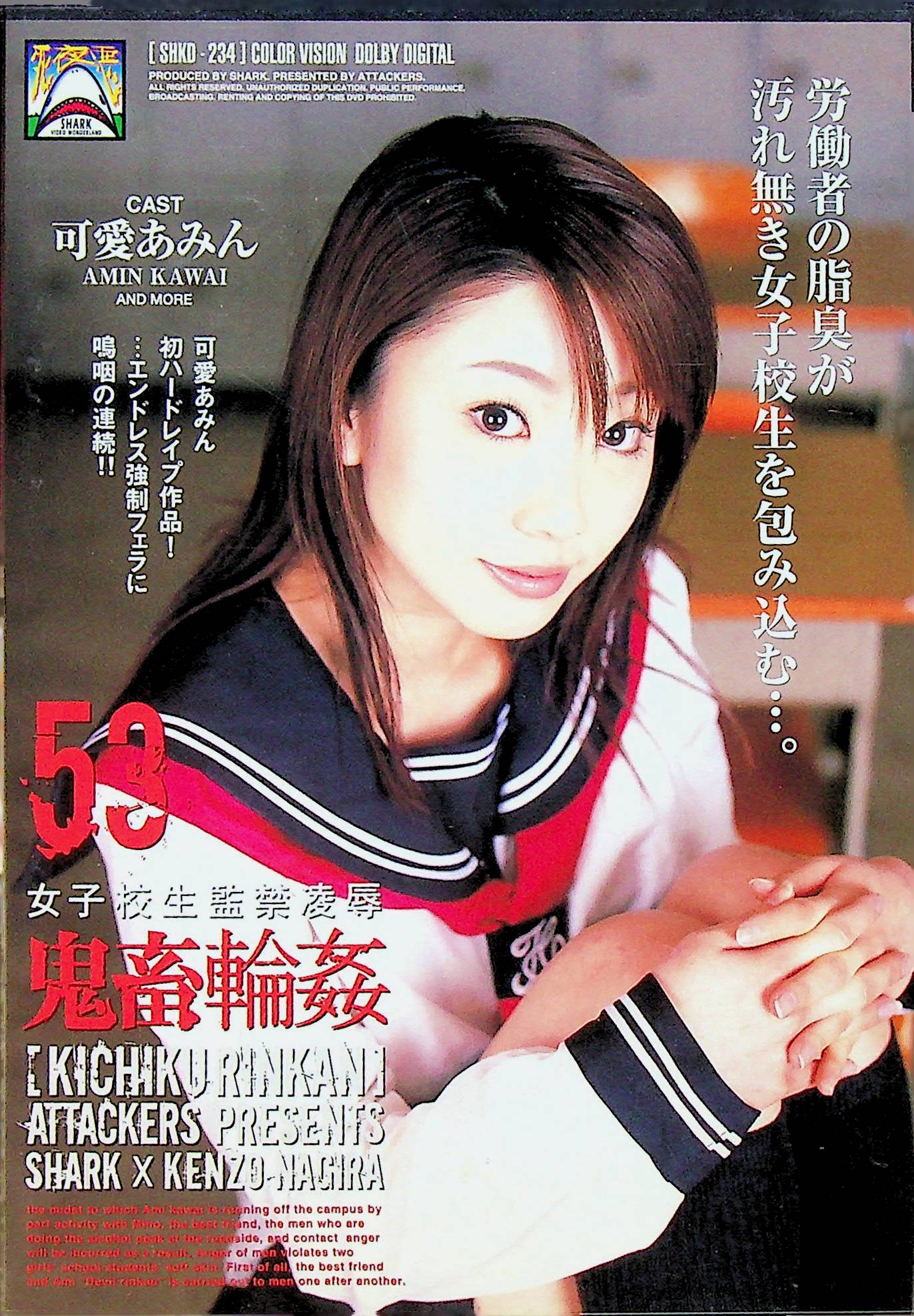 女子校生監禁凌●　鬼畜輪●　５３