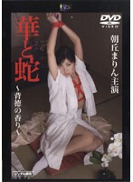 華と蛇　〜背徳の香り〜　朝丘まりん