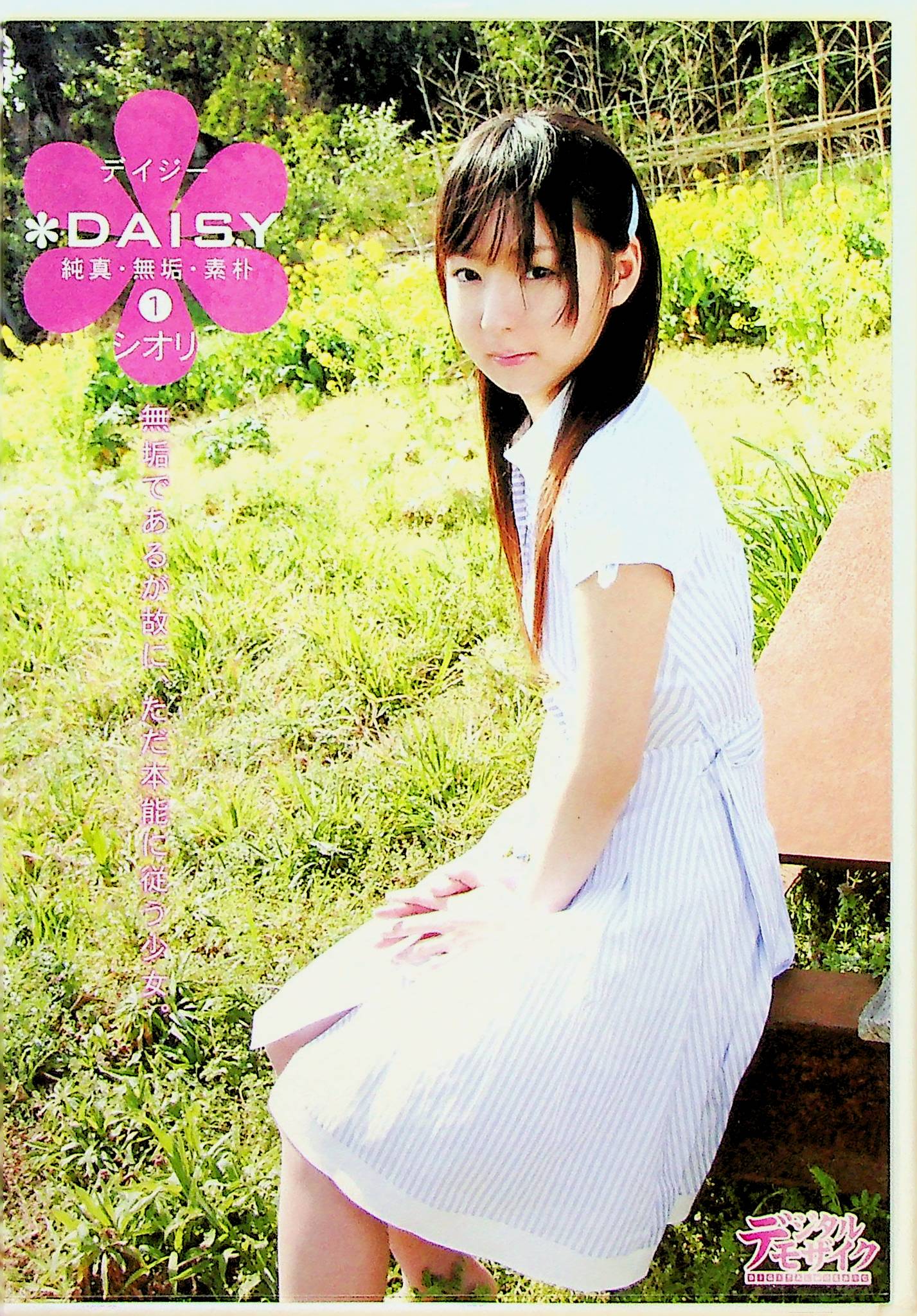 ＤＡＩＳＹ　１　シオリ