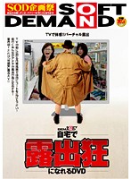 自宅で露出狂になれるＤＶＤ