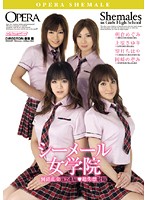 シーメール女学院　倒錯乱交Ｗ２連結◆超失禁射精