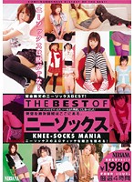 ＴＨＥ　ＢＥＳＴ　ＯＦ　ニーソックス