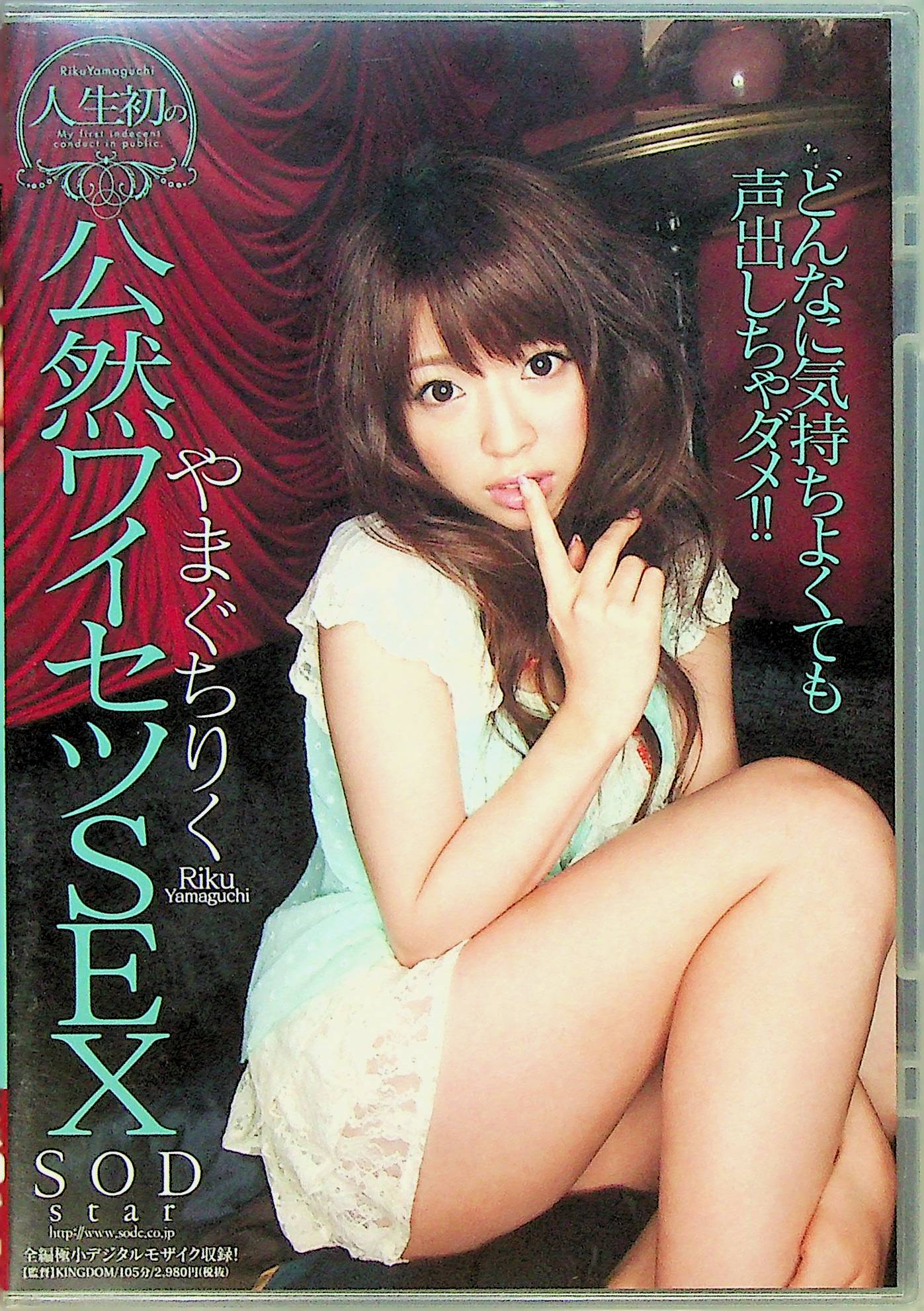 人生初の公然ワイセツＳＥＸ　どんなに…