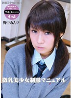 微乳美少女制服マニュアル　制服美少女の淫行　野中あんり