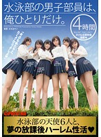 水泳部の男子部員は、俺ひとりだけ。