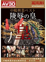 【ＡＶ３０】中嶋興業ベスト陵●の皇