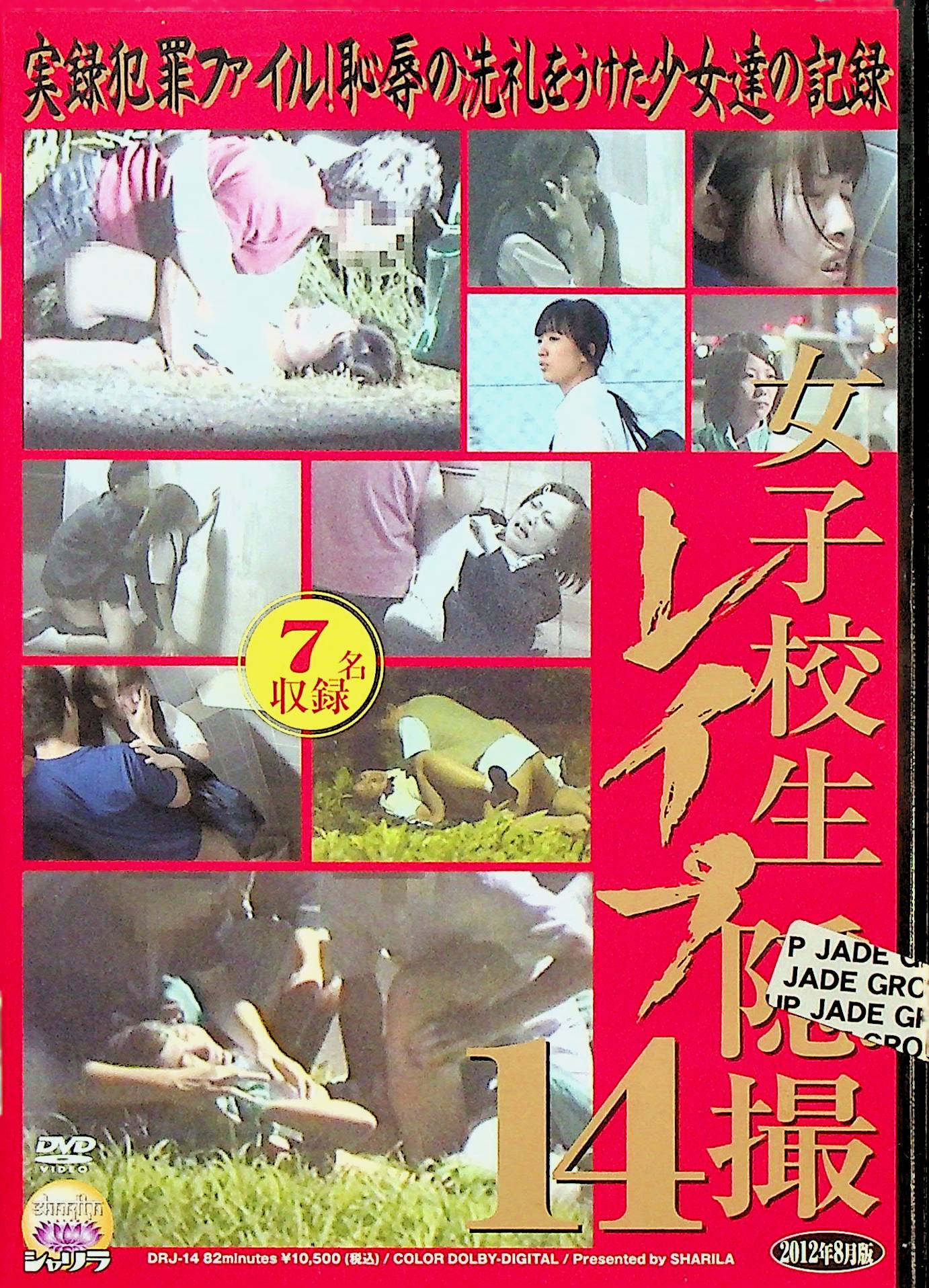 女子校生　レ●プ隠撮　１４