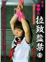 女子○○生　拉致監禁　１３　制服少女の微乳性虐　野中あんり