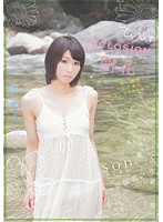 ＥＣＬＯＳＩＯＮ　開花〜性に臆病な２３歳のＡＶ　ＤＥＢＵＴ〜　桐嶋あおい