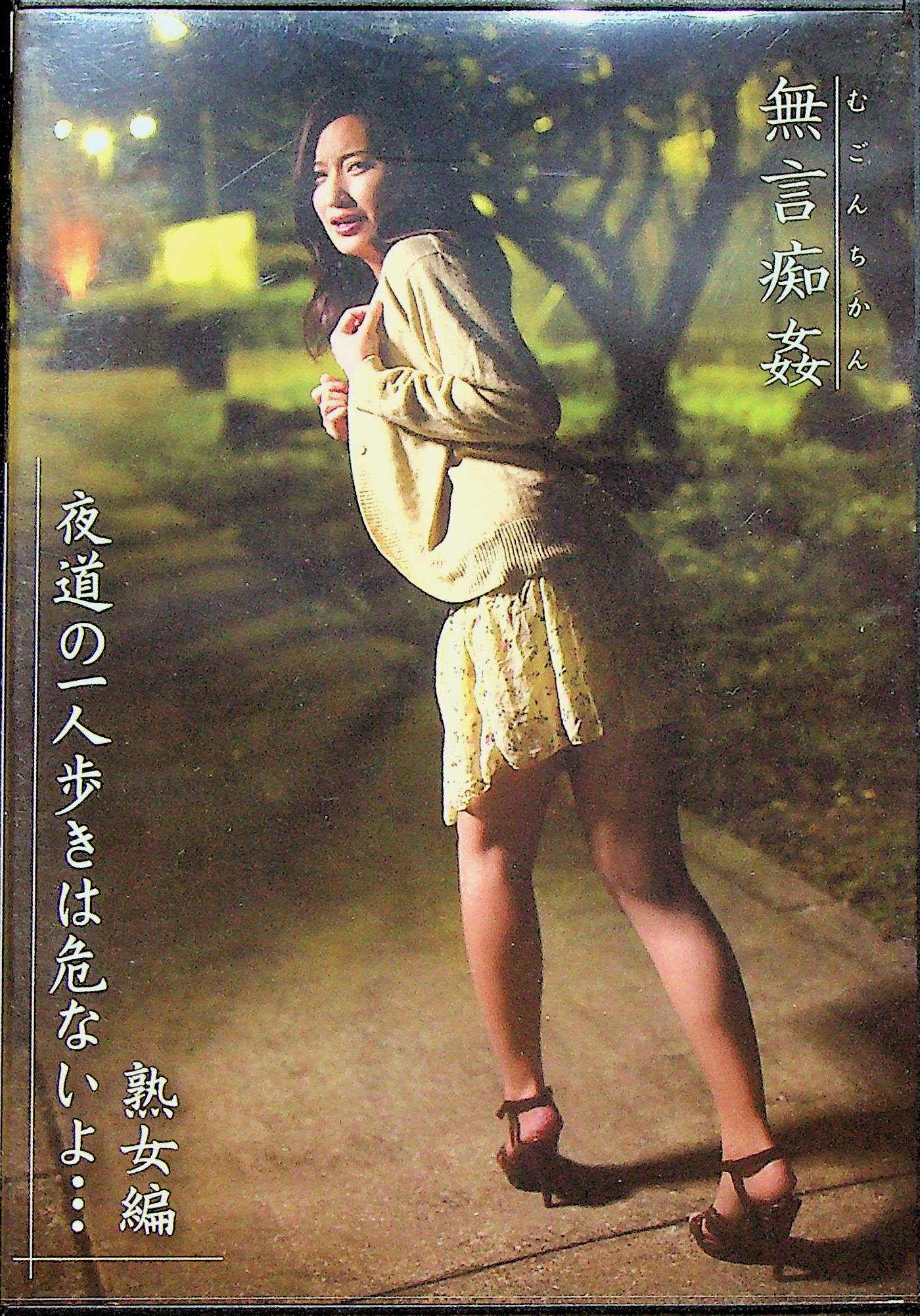 無言痴姦　夜道の一人歩…熟女編