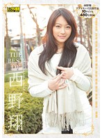 ＴＨＥ　ＢＥＳＴ　ＯＦ　西野翔（２枚組）