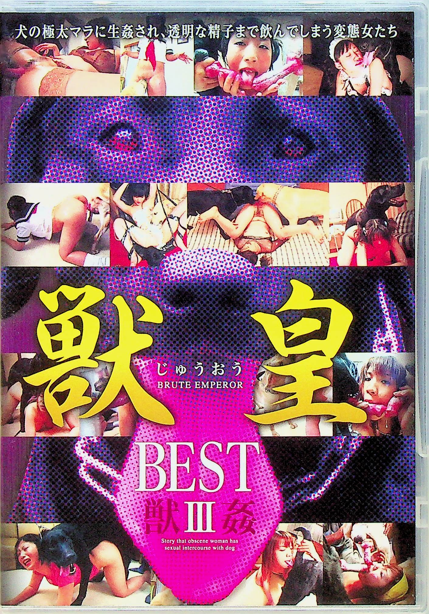 獣皇ＢＥＳＴ　３