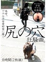 嗚呼、アナル少女愛好家に捧ぐ尻の穴狂騒曲。８時間（２枚組）
