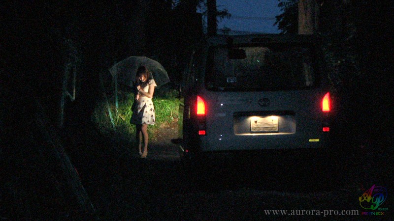セレブ系女子大生・しおり わたし…さらわれて…2人の男のひとに、死ぬほど恥ずかく犯●れました…。 花音しおり