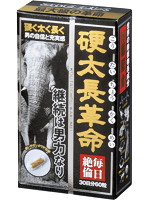 硬太長革命　３０日分