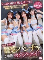 完全サポート！誘惑パンチラご奉仕セクシーメイド