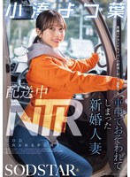 【数量限定】配送中ＮＴＲ　既婚ベテランドライバーの配送に付いて回るうち車中でおそわれて･･･